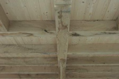 245926_detail2_max