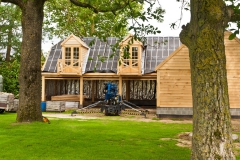 4501_crown_oak_europe_03