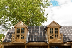 4501_crown_oak_europe_04