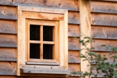 crown_oak_09-9935