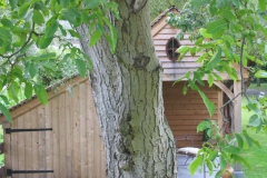 290458_detail6_max_1