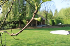 492225_detail5_max